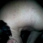 ����� ������� ����. 2-����� �����