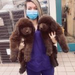 ������������ �����