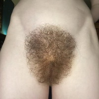 ������� "��������".