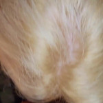 ������ �� �����.