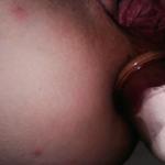 ������������ � ��������