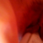 ������ ��� ����������