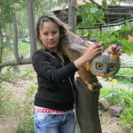 �������� �������