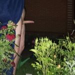 ������ ������� �� ������ �������