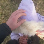 �������� ��� ���������