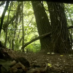 ������ �� ������