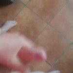 ������� � �������