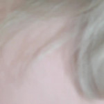 ���� ����� ���������