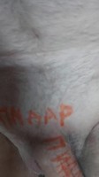 � ������� 64 ����