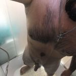 �������� ����