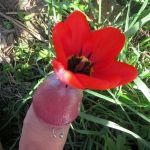 ������ �����