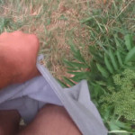 ���� � ��������� �����