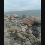 ��� ��-�������� � �����