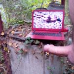 ����� ��� cucoldik