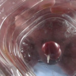 � ������ ������� �� ����