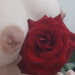 14 �������