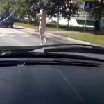 ����������� �����