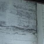 ������ � �������