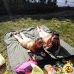 ��� � �������� �� ����