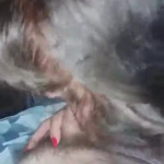 ����� �� �����