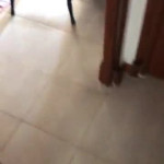 ������ ���� ����� �����