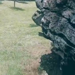 ���� ����� ���� � �����