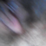 ������� ������ � ������ ���������