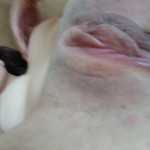 ���������� �������