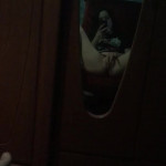 ������� ��� �������