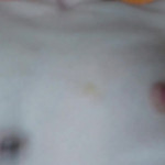 �������� � �������