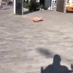 ��������� ������� � ������