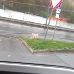 ����������� �� �������