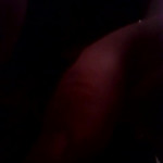 ��������� � �������