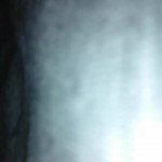 �������� ��� ���� ����.