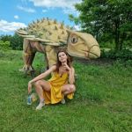 � ������ ������