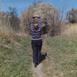 ������� �� ��������.