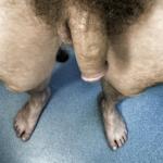 ������� ����