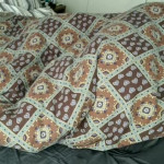 ���������� �������� ����