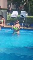 � ��������� ��������