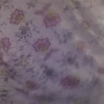 ������� �� ��������� ��������� ���� �������� ����������