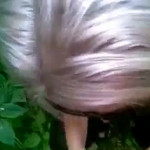 ���� �� ����..