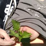 ���� � ��������.