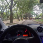 ���� ������� �� �����