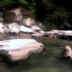 ���� �� ������ ������ �����