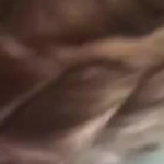 ��� �������� � ����