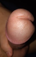 ��� �������