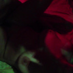 ����������� ����� ���� ������� � �����!