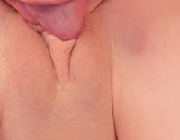 ������� ��������