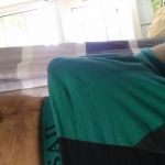 ������� �������