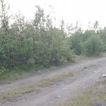 �������� ��������